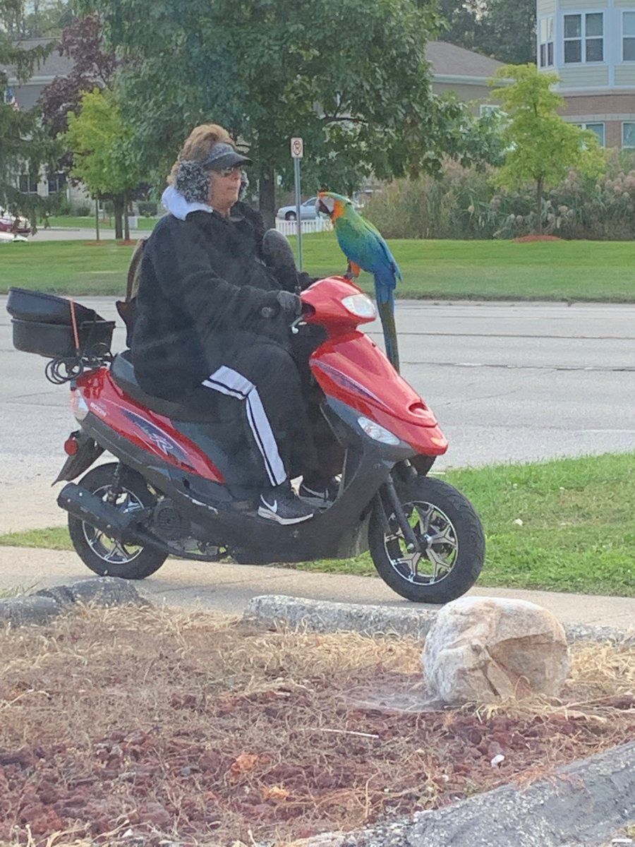 oh my god twitter doesn’t include alt text from images in their API